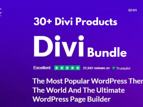 Divi Bundle