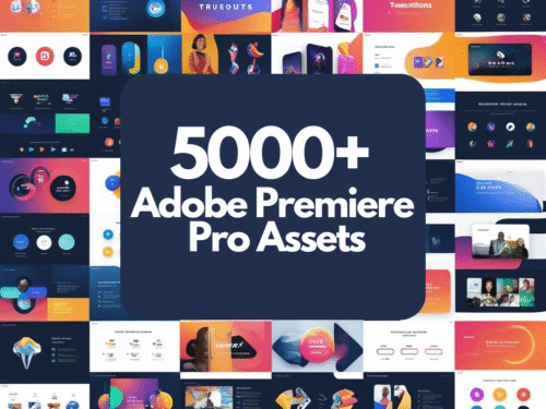 adobe premiere pro assets
