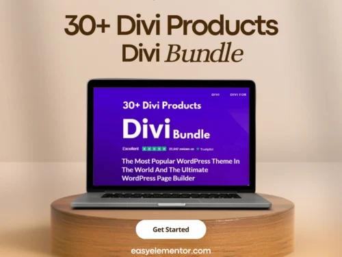 Divi Bundle 3
