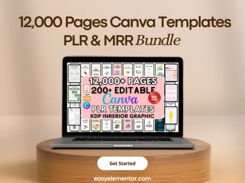 canva plr planner 3
