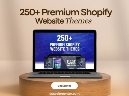 shopify premium themes 3