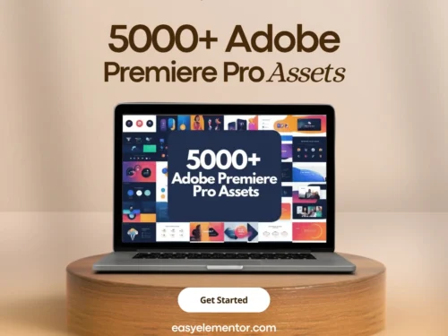 adobe premiere pro assets 3