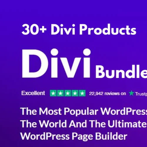 Divi Bundle